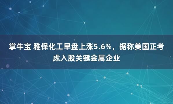 掌牛寶 雅?；ぴ绫P上漲5.6%，據(jù)稱美國正考慮入股關(guān)鍵金屬企業(yè)
